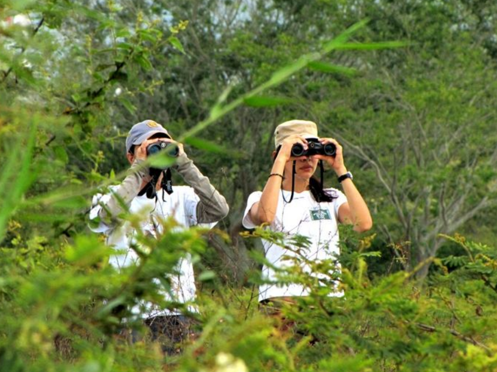 >Hati-hati Kena Denda! Pentingnya Sertifikasi PPPA Bagi Bisnis Anda